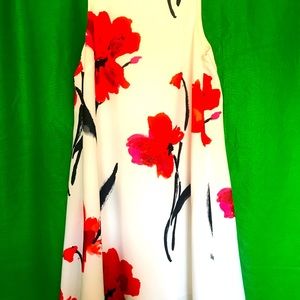 Ralph Lauren sleeveless floral swing dress size 8